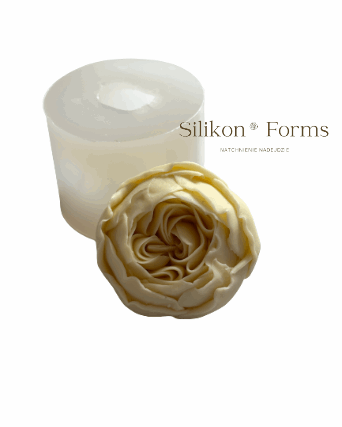 Kwiat "Piwonia bukietowa"